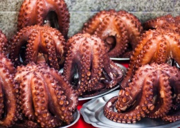 新鲜的食材章鱼图片(10张)