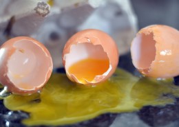 营养丰富的鸡蛋蛋黄图片(8张)