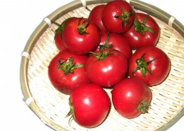 鲜红的番茄图片(13张)