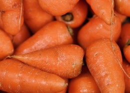 营养健康清脆的胡萝卜图片(16张)