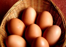 新鲜鸡蛋图片(16张)