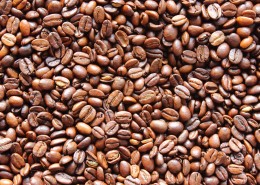 浓厚醇香的咖啡豆图片(16张)