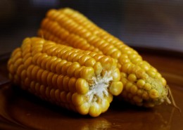 金黄的玉米图片(13张)