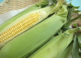 刚采摘的新鲜的玉米图片(12张)