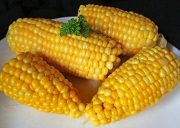 五谷杂粮中的玉米图片(27张)
