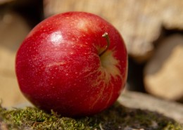 酸甜可口的红苹果和青苹果图片(9张)