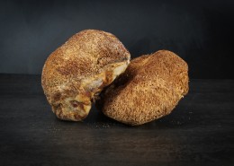 营养美味的名贵猴头菇图片(9张)