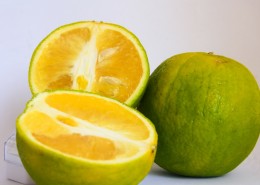 清新可口的柠檬图片(15张)