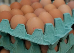 新鲜的鸡蛋图片(15张)