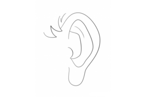 人物五官 耳朵的画法