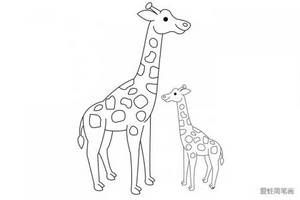 长颈鹿简笔画怎么画