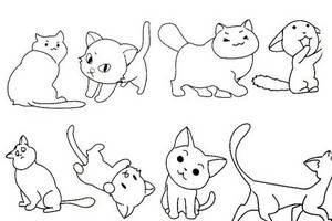 小猫简笔画大全及画法步骤