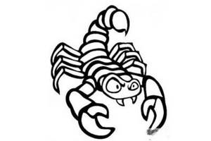 昆虫图片 蝎子简笔画图片