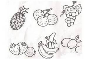 水果六类简笔画