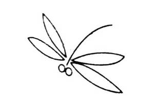 简单的蜻蜓简笔画图片及画法步骤