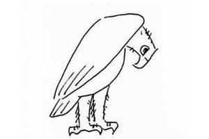 一组关于老鹰的简笔画图片