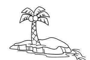 小岛上的椰子树