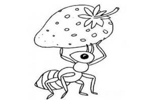 蚂蚁搬食物简笔画