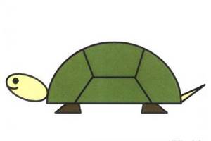 卡通乌龟的画法图片教程