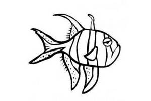 海洋生物图片 泗水玫瑰鱼简笔画图