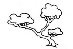 盆栽小树简笔画图片