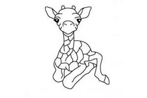 动物简笔画 小长颈鹿简笔画图片