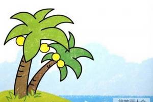 彩绘椰子树简笔画图片