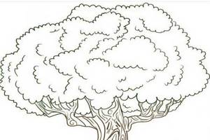 如何画卡通大树
