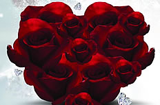 情人节红玫瑰花背景图片