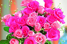 高清玫瑰花花束图片
