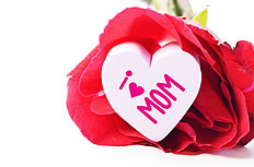 母亲节玫瑰花素材图片