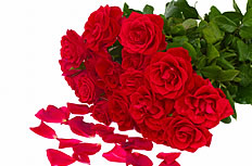 鲜红玫瑰花束空白图片素材