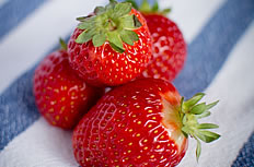 鲜红可爱草莓图片素材