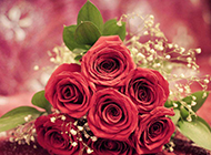 最美的红玫瑰花束图片