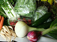 各种新鲜的蔬菜植物图片