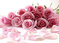 粉玫瑰花束图片高清精美
