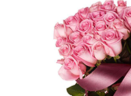 香气四溢的粉玫瑰花束图片