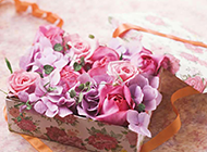 礼物盒里的玫瑰花图片欣赏