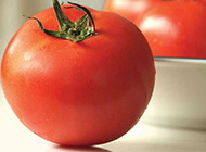 剔透可人的红番茄图片