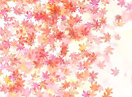 唯美粉色枫叶背景图片素材