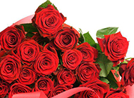 浪漫情人节丝带红玫瑰素材