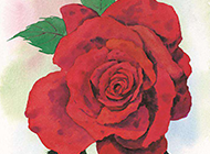 彩绘玫瑰花艺术图片素材欣赏