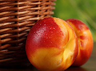 香脆可口的油桃高清图片