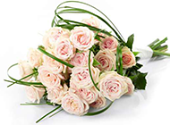 清新素雅的粉色玫瑰花花束图片