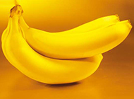 熱帶水果植物香蕉圖片素材分享