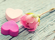 爱心巧克力与粉色玫瑰花图片