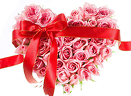 粉玫瑰花图片浪漫情人节素材