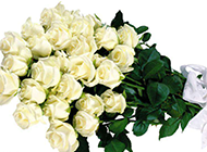 一束白玫瑰鲜花高清图片
