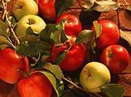 青涩的红绿苹果高清图片素材