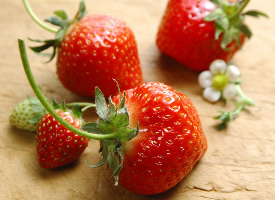 又大又甜的草莓图片